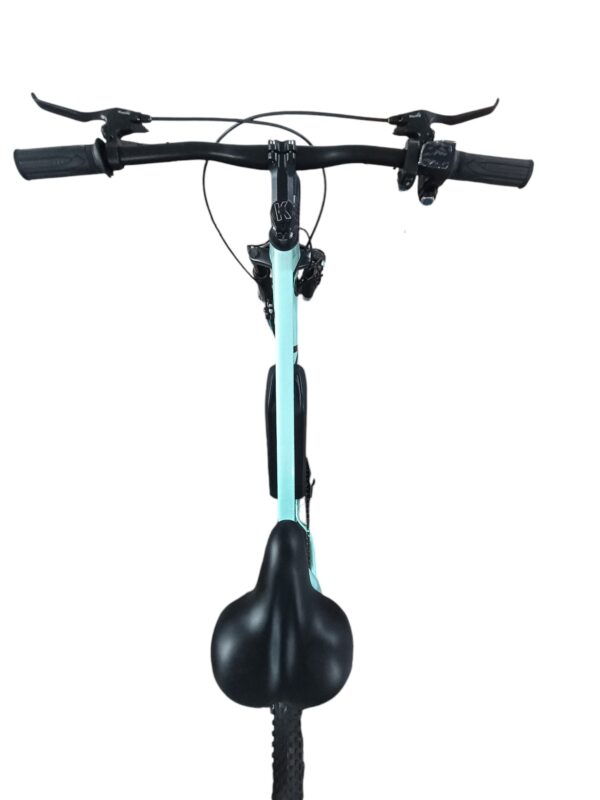 Alien-Bikes XLR8(25km)(SEA GREEN) - Image 6